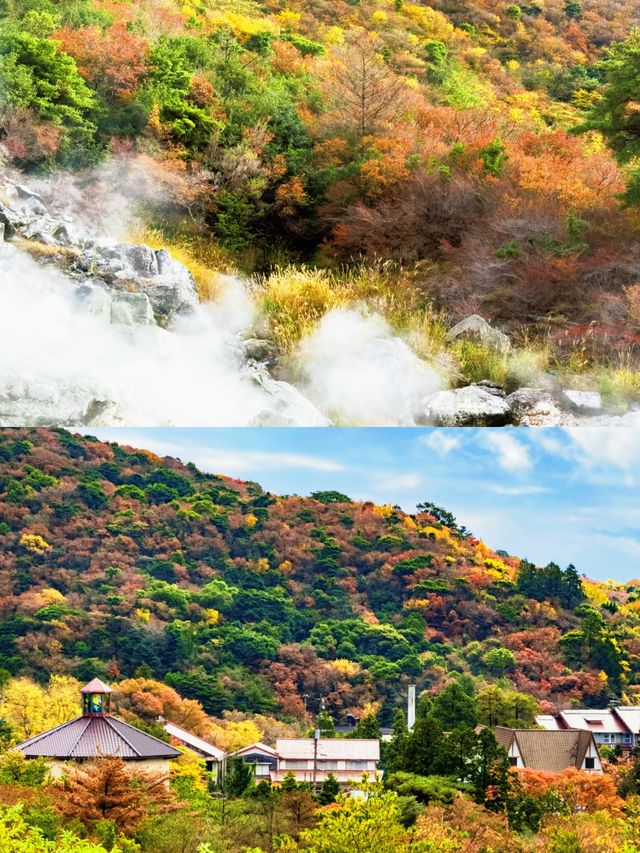 探秘雲仙市：火山腳下的自然與人文交織之地