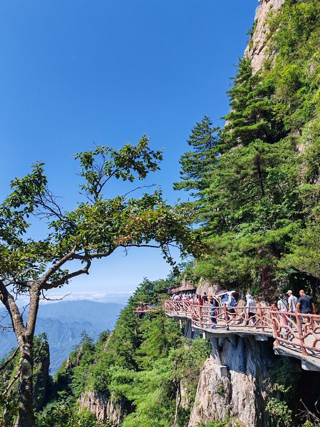 老君山問道