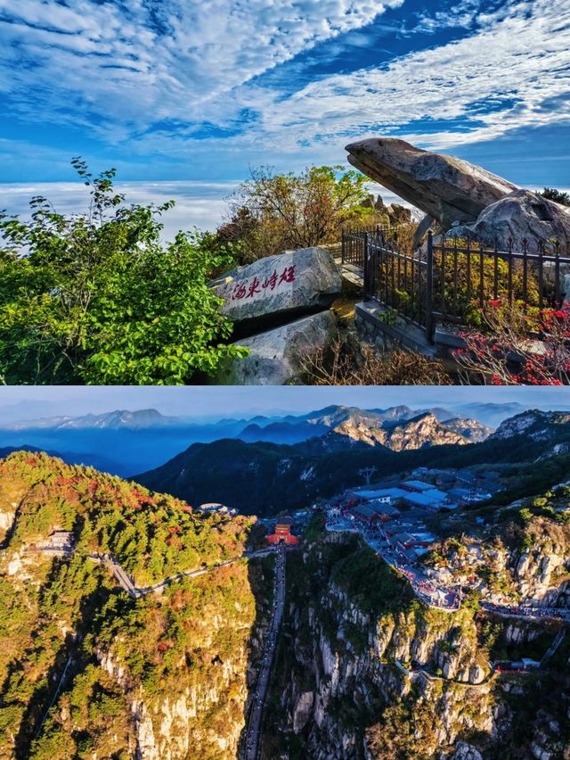 泰山之巔，雲海與秋色撞了個滿懷！