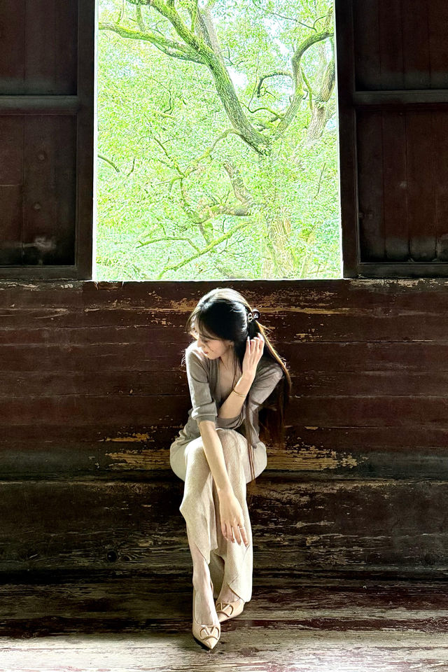 西湖夏日瘋玩手帳 從早野到黑的快樂配方被我摸透啦！
