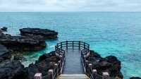 10月去洲島血賺！人均500承包整片海，淡季玩法直接抄作業！