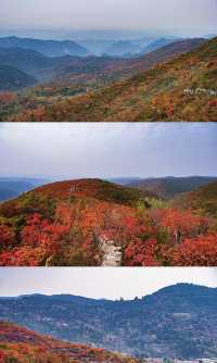 阜平山的深秋美景解鎖啦｜把北方的美景變成了油畫