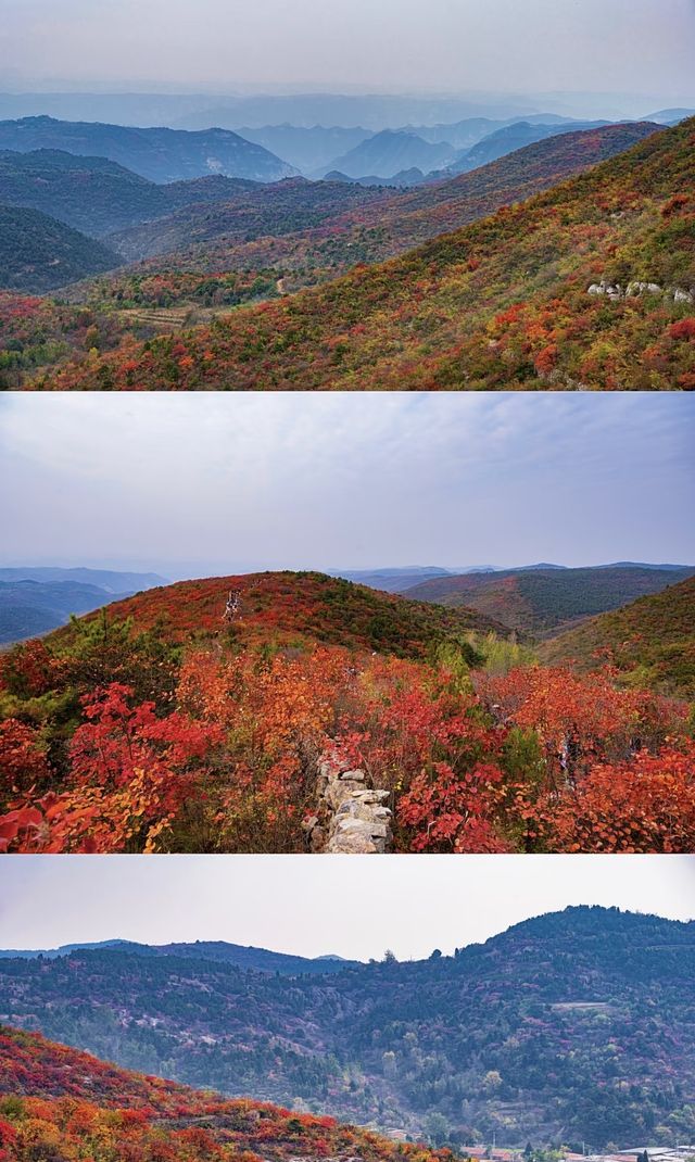 阜平山的深秋美景解鎖啦｜把北方的美景變成了油畫