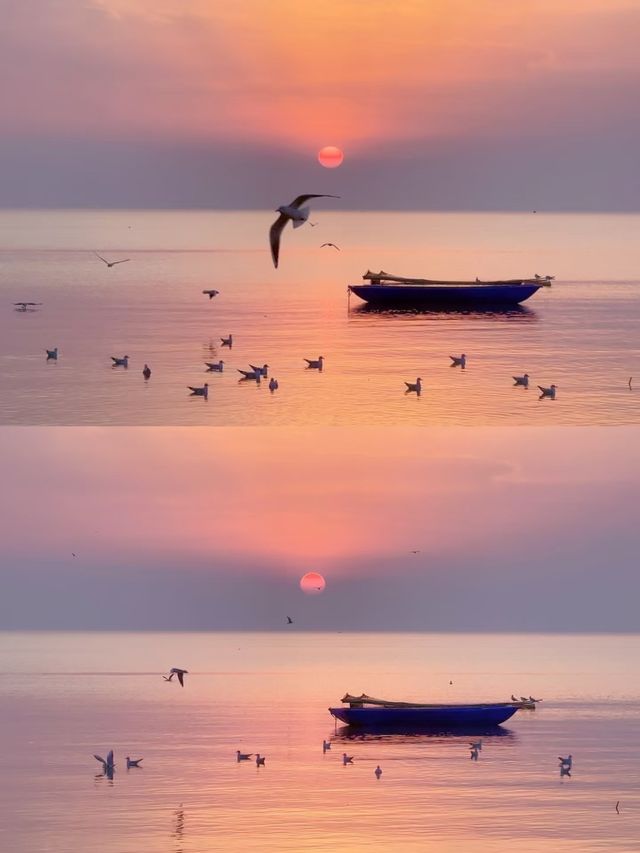 【太湖觀鳥指南｜在江南水鄉邂逅飛羽精靈】