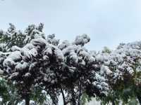 初雪降臨東鄉族自治縣｜在鎖南壩遇見最純淨的雪景