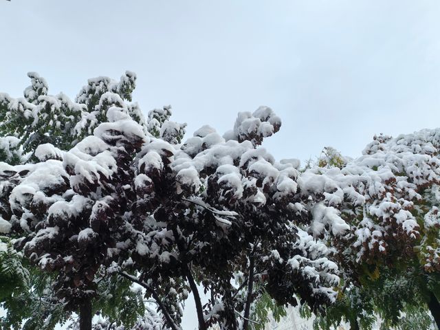 初雪降臨東鄉族自治縣｜在鎖南壩遇見最純淨的雪景