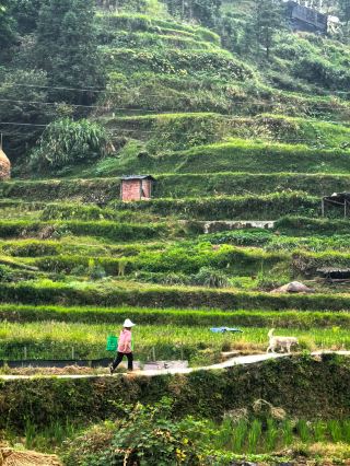 解鎖西江千戶苗寨隱藏玩法｜本地人才懂的小眾體驗