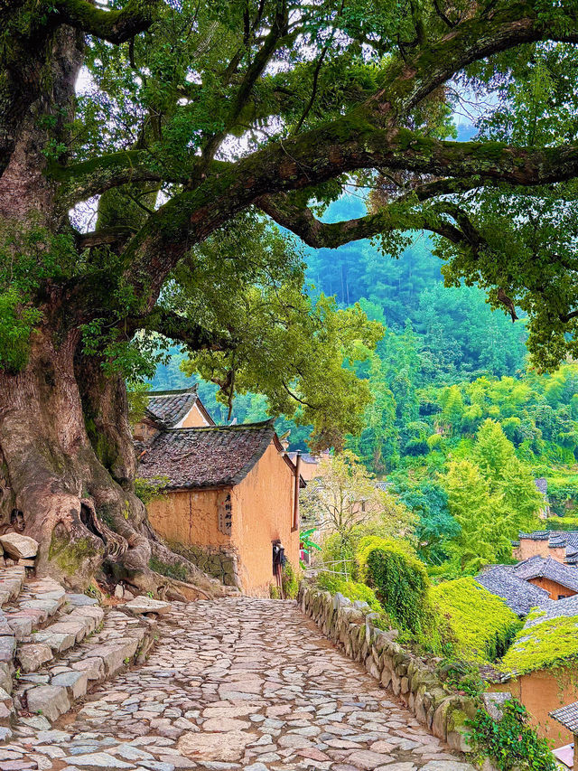 在麗水，找到了被時光遺忘的祕境畫卷