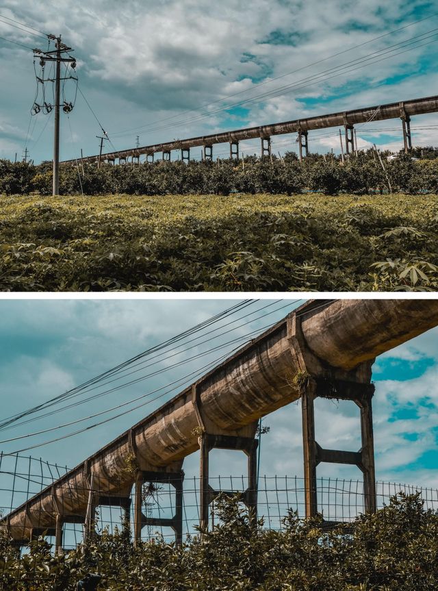 假期反向遊：藏在南寧北郊的武鳴羅波渡，千年古橋畔的慢時光治癒