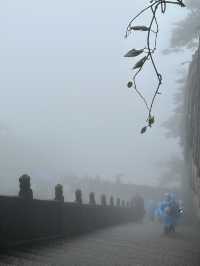 九華山煙雨仙境療癒心靈🌫️