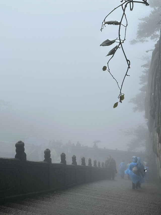 九華山煙雨仙境療癒心靈🌫️ 九華山煙雨仙境療癒心靈🌫️
