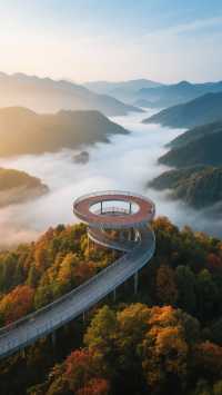 金秋十月，麗水旅遊攻略！