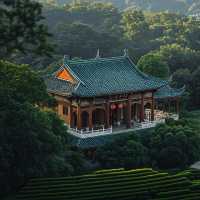 廣州大夫山一日窮遊攻略