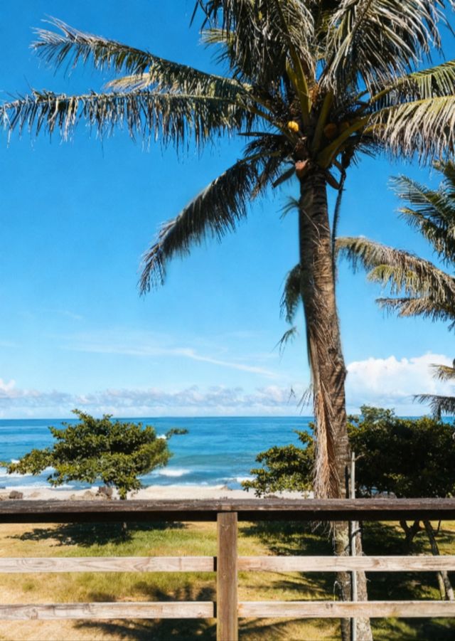 花東縱谷自駕攻略