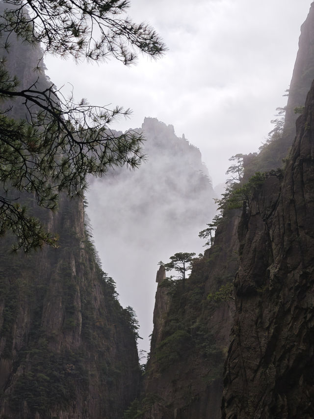 黃山+太平湖