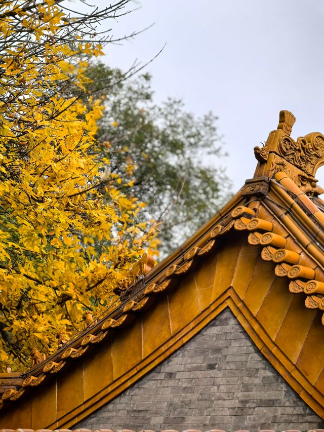 北京最靈財神廟！黃瓦增福求財元宇宙