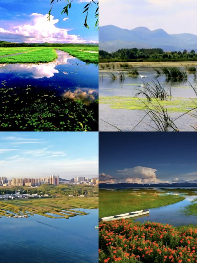 威寧草海高原上的夢幻水鄉,你去過嗎? 威寧草海高原上的夢幻水鄉,你去過嗎?