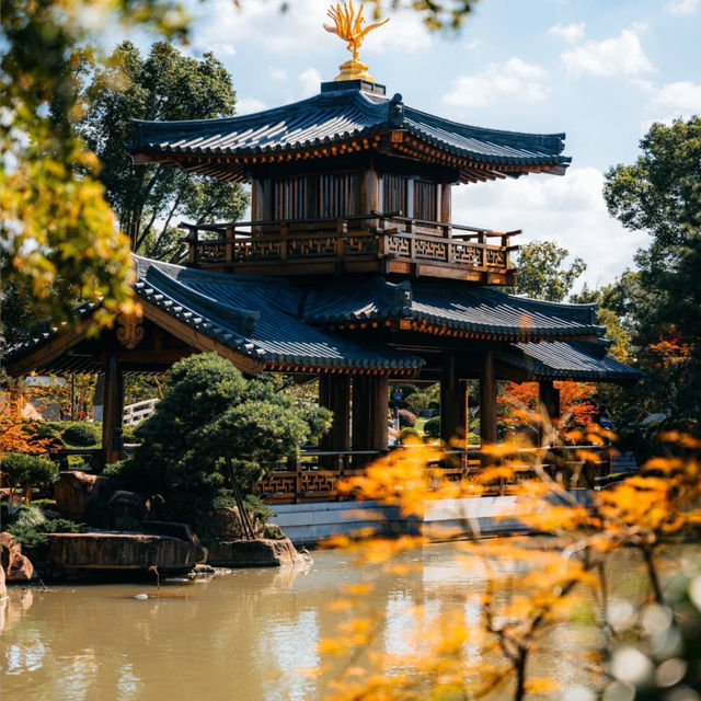 ๐์ํ์ด์ ํ ๋น๋๋ผ ํ ์ ์, ๊ฐ์์ ์๋ฒฝํ ์ ์ทจ ๐ฏ ๐์ํ์ด์ ํ ๋น๋๋ผ ํ ์ ์, ๊ฐ์์ ์๋ฒฝํ ์ ์ทจ ๐ฏ