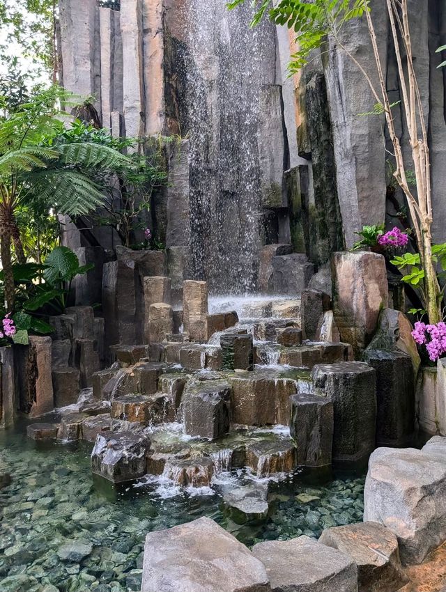 上海世博文化公園溫室花園超全攻略