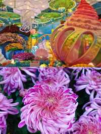 河南5天秋遊三大古都超全攻略