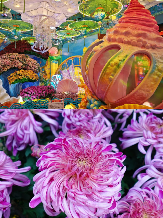 河南5天秋遊三大古都超全攻略