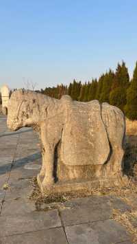 化明塘嚴氏墓丨封藏了600年的淒美愛情故事