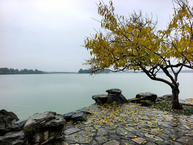 立冬時節的頤和園美圖