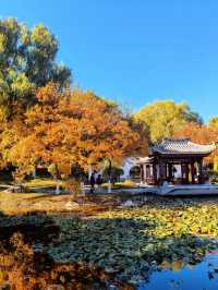 北京園博園嶺南園以精緻的嶺南園林風格 在北京的秋韻裡獨領風騷