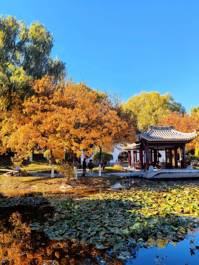 北京園博園嶺南園以精緻的嶺南園林風格 在北京的秋韻裡獨領風騷