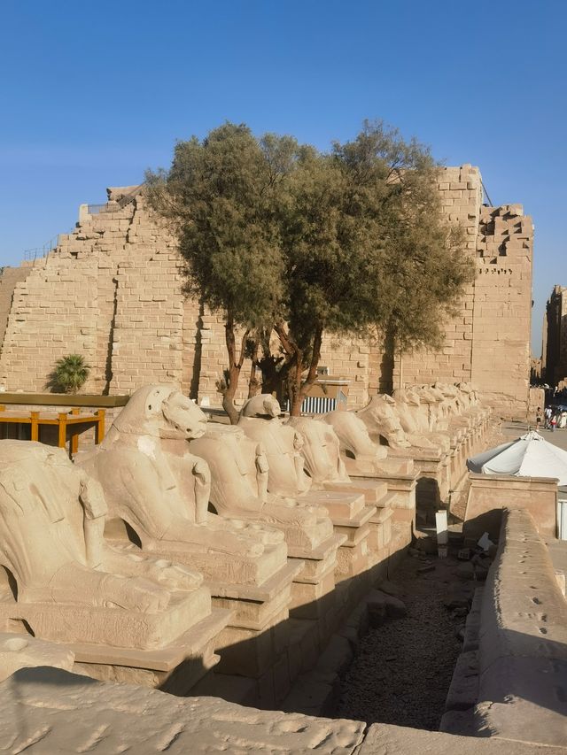 埃及九大神廟一場穿越時空的夢幻之旅