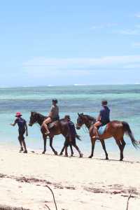 Unforgettable Equestrian Adventure