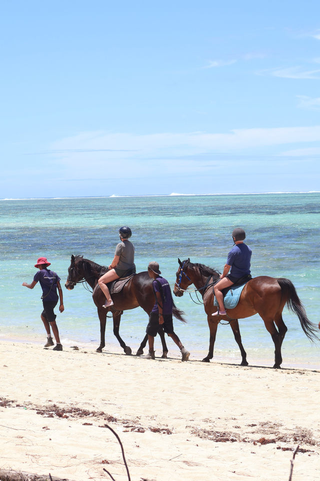 Unforgettable Equestrian Adventure