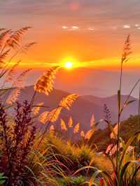 甘肅私藏！天水才是絲路真寶藏，彩林+千年人文美到失語