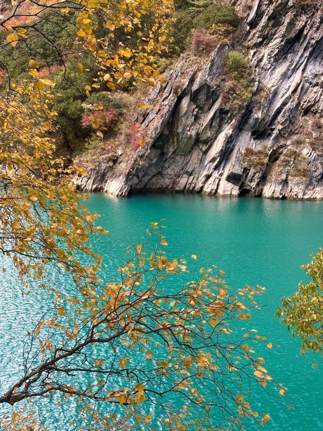 疊溪松坪溝紅葉盛宴