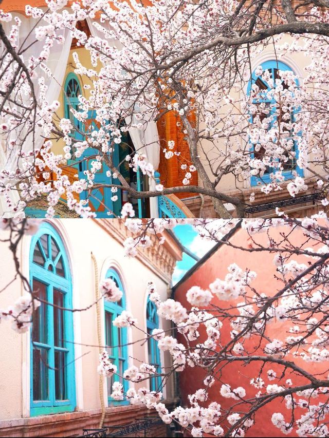 伊寧梵境！住進油畫裡的民宿