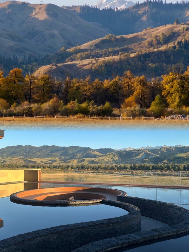 住到了人生Hotel！捨不得走