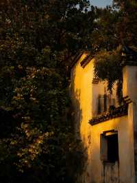 景德鎮剛回來,唯一沒踩雷超出預期的景點