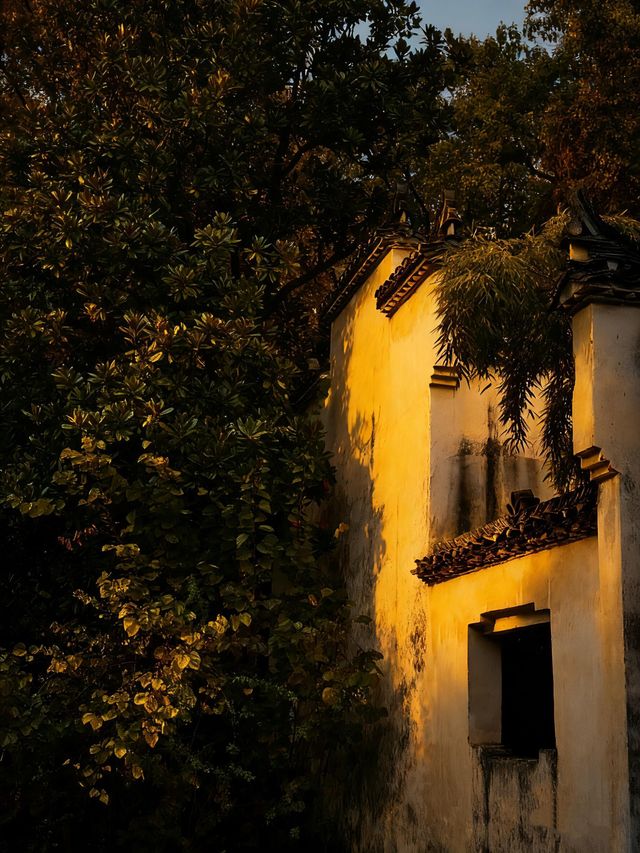 景德鎮剛回來,唯一沒踩雷超出預期的景點 景德鎮剛回來,唯一沒踩雷超出預期的景點