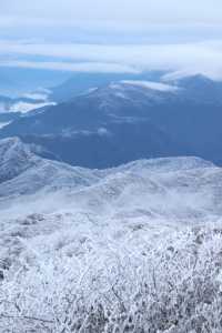 24年千佛山下雪後美哭了！絕美霧淞仙境快來打卡