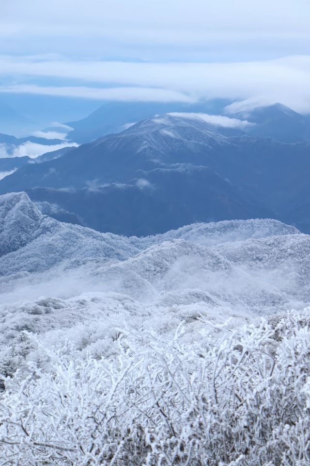 24年千佛山下雪後美哭了！絕美霧淞仙境快來打卡