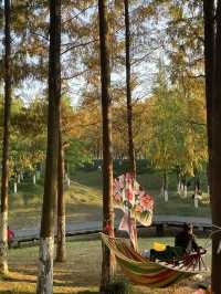 在半島世界酒店，偶遇秋日最美江濱公園