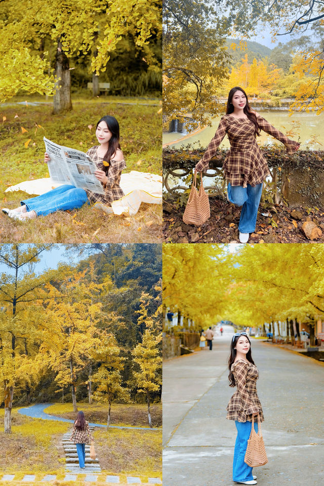 驅車4h來到韶關 就為了尋找秋天的顏色