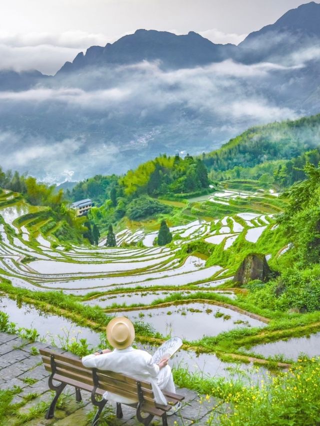 看日出雲海、逛古寨，拍照拍到內存滿