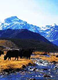 絕美雪山攝影指南