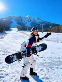 剛從哈爾濱回來！對自己的攻略滿意到爆！