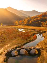 11月後來我逢人便說，婺源的秋景有多美