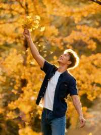 帽峰秋語：在金色秘境治癒心靈