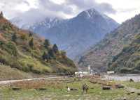 平武沙棘溝彩林形成了,付攻略!