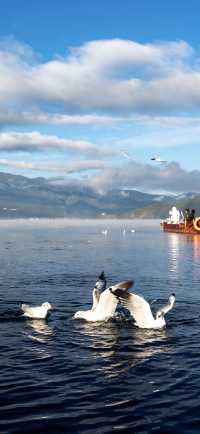 | 把山海星辰裝進房間的日與夜