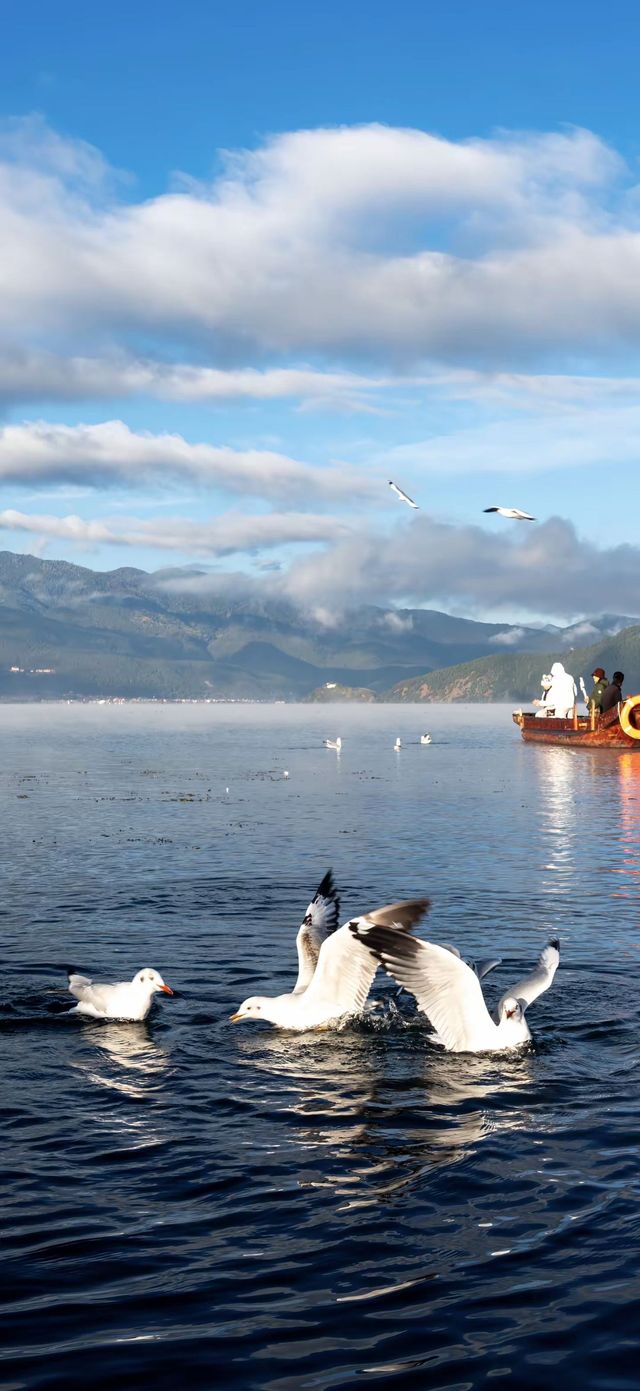 | 把山海星辰裝進房間的日與夜 | 把山海星辰裝進房間的日與夜